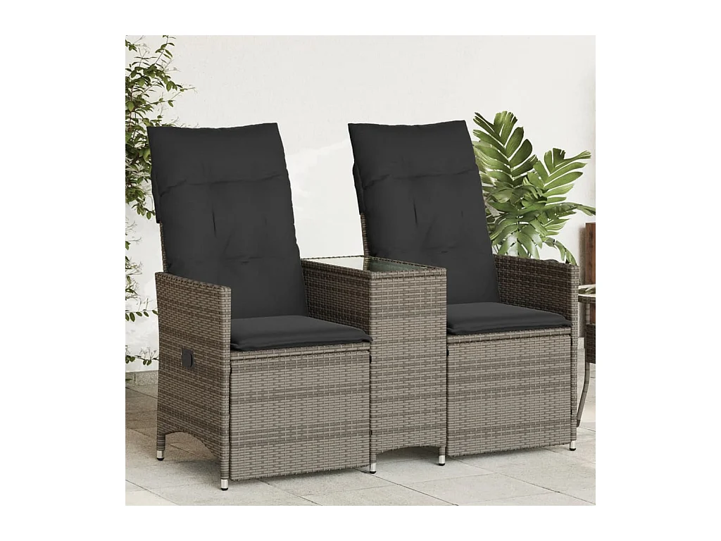 Canapé de jardin inclinable 2 places avec table gris poly rotin