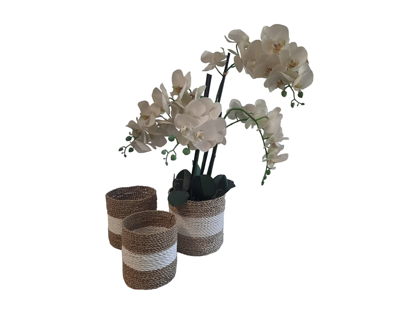 Plantenbakken Furnilux - Wit en Beige - Set van 3 stuks