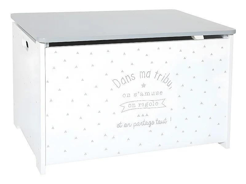 Coffre à jouets gris en bois - L. 58 x l. 38 x H. 38 cm