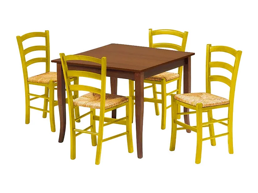 Ensemble de 4 chaises et une table carrée intérieurs Rattlesnake