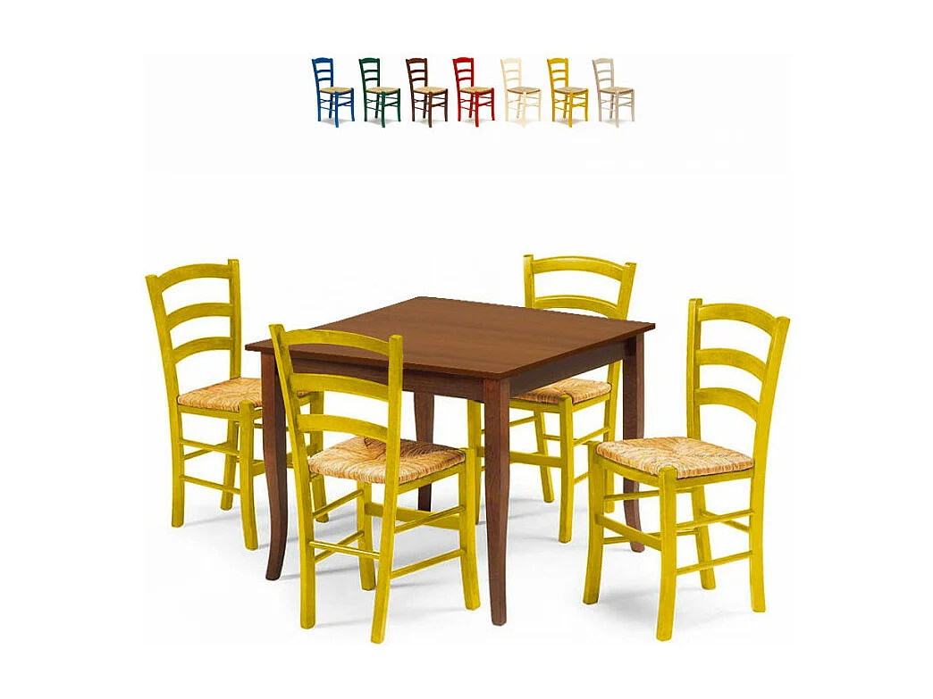 Ensemble de 4 chaises et une table carrée intérieurs Rattlesnake