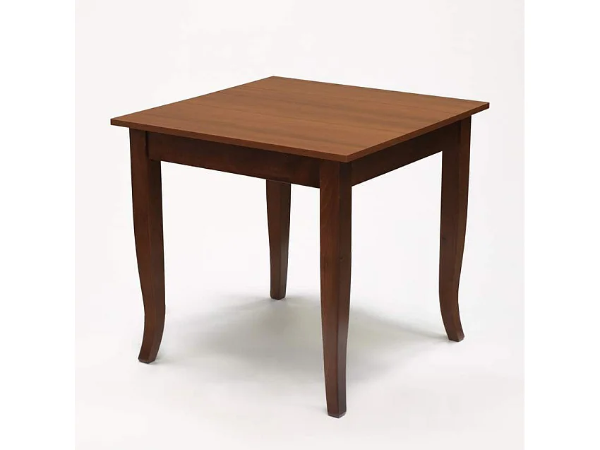 Ensemble de 4 chaises et une table carrée intérieurs Rattlesnake