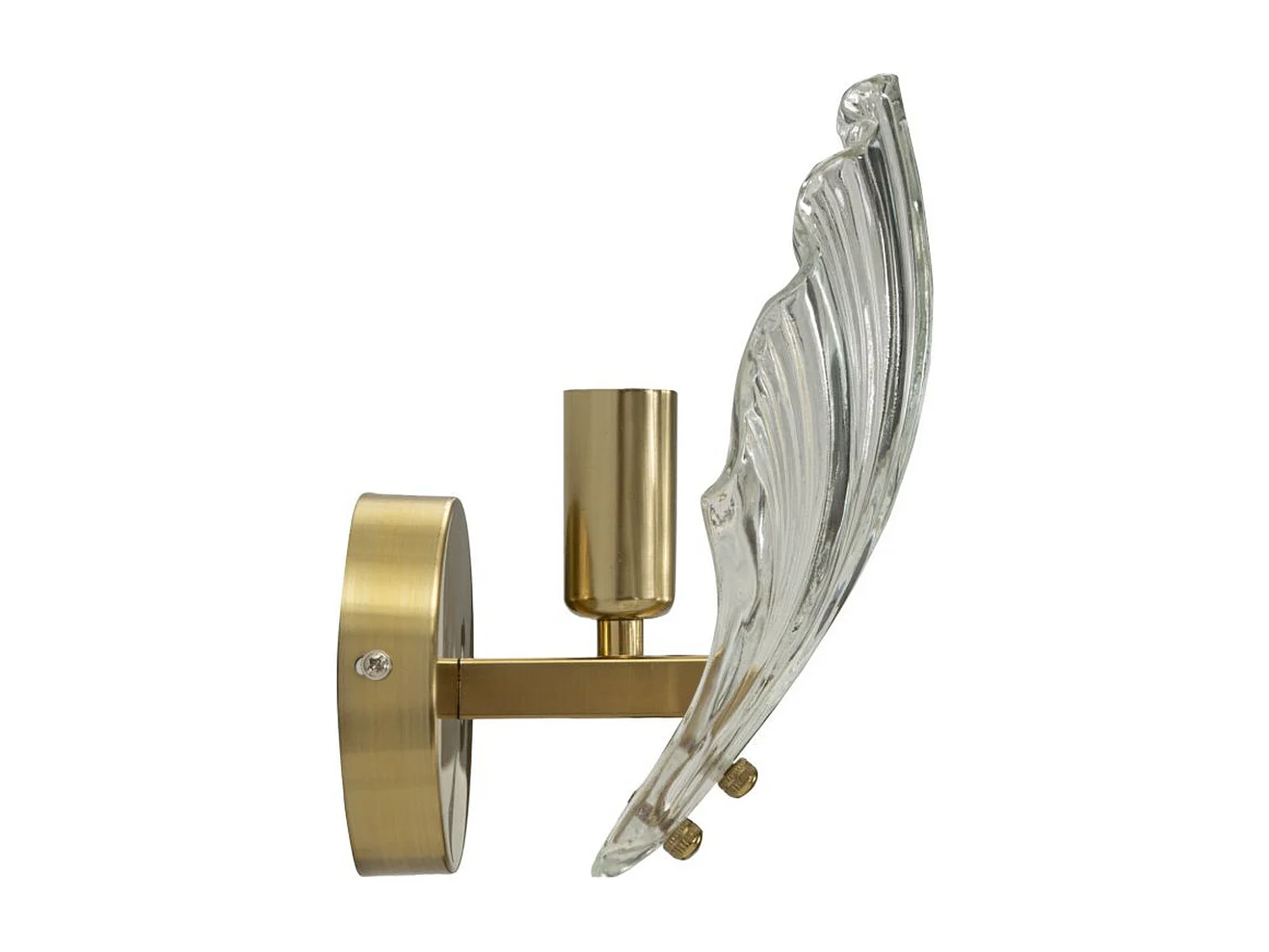 Candeeiro de Parede Concha, Ouro, 20x14x22 cm, Seven Design