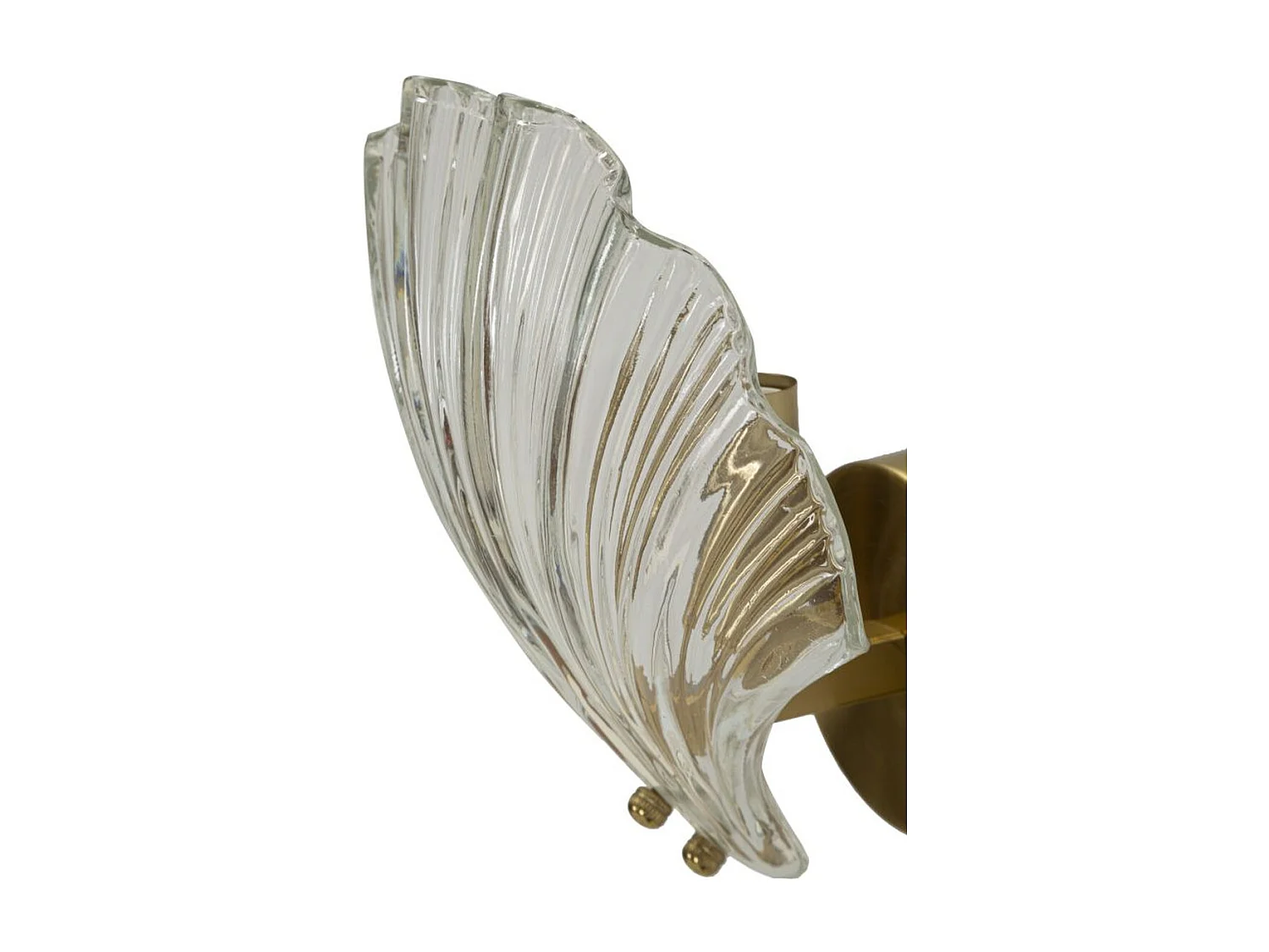 Candeeiro de Parede Concha, Ouro, 20x14x22 cm, Seven Design