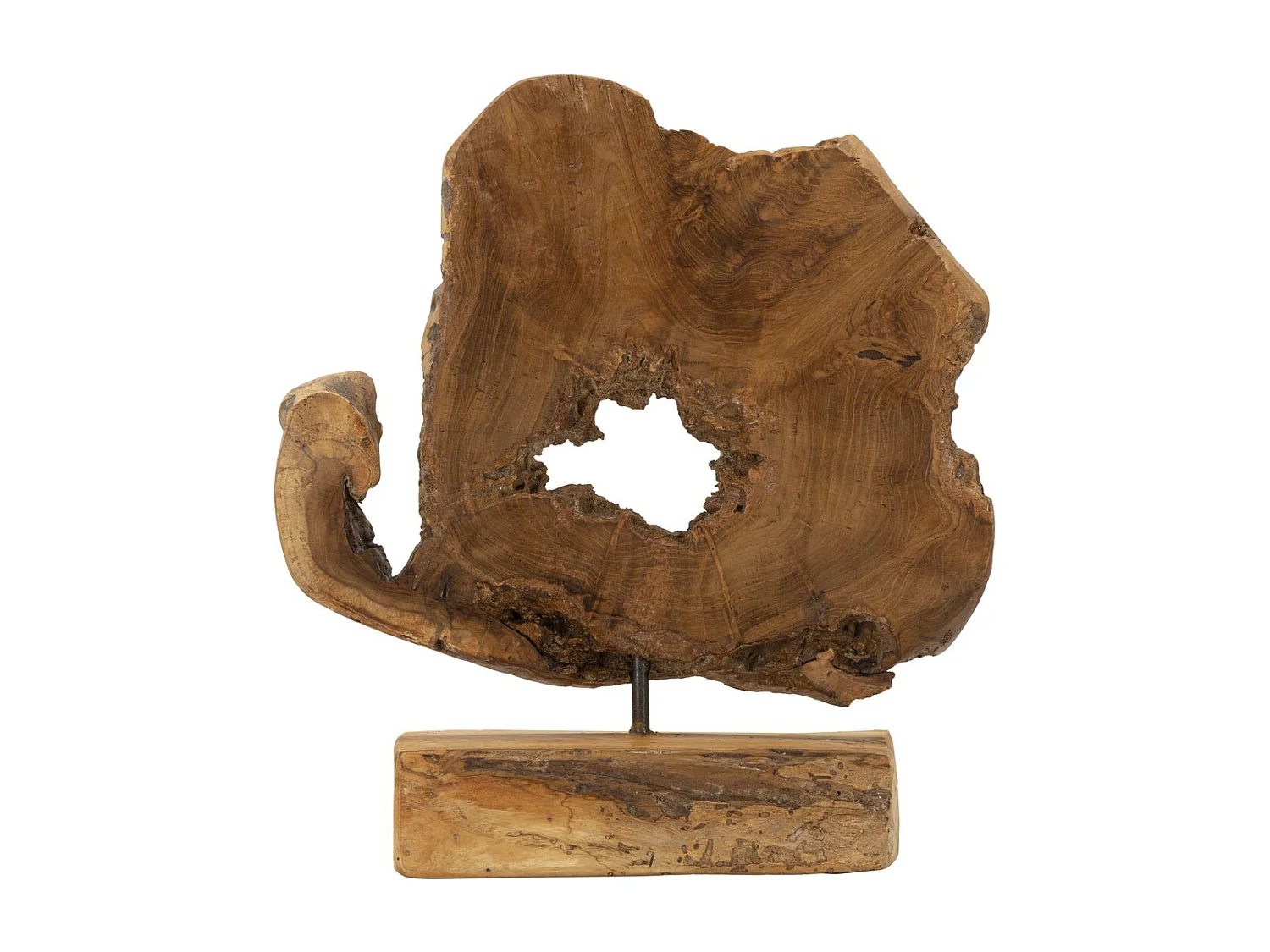 Beeldhouwwerk Wortel 3, Bruin, 31x13x35 cm, Seven Design