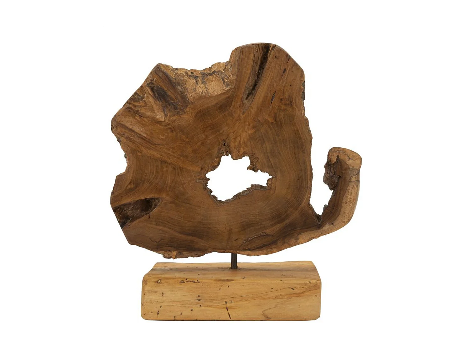 Beeldhouwwerk Wortel 3, Bruin, 31x13x35 cm, Seven Design