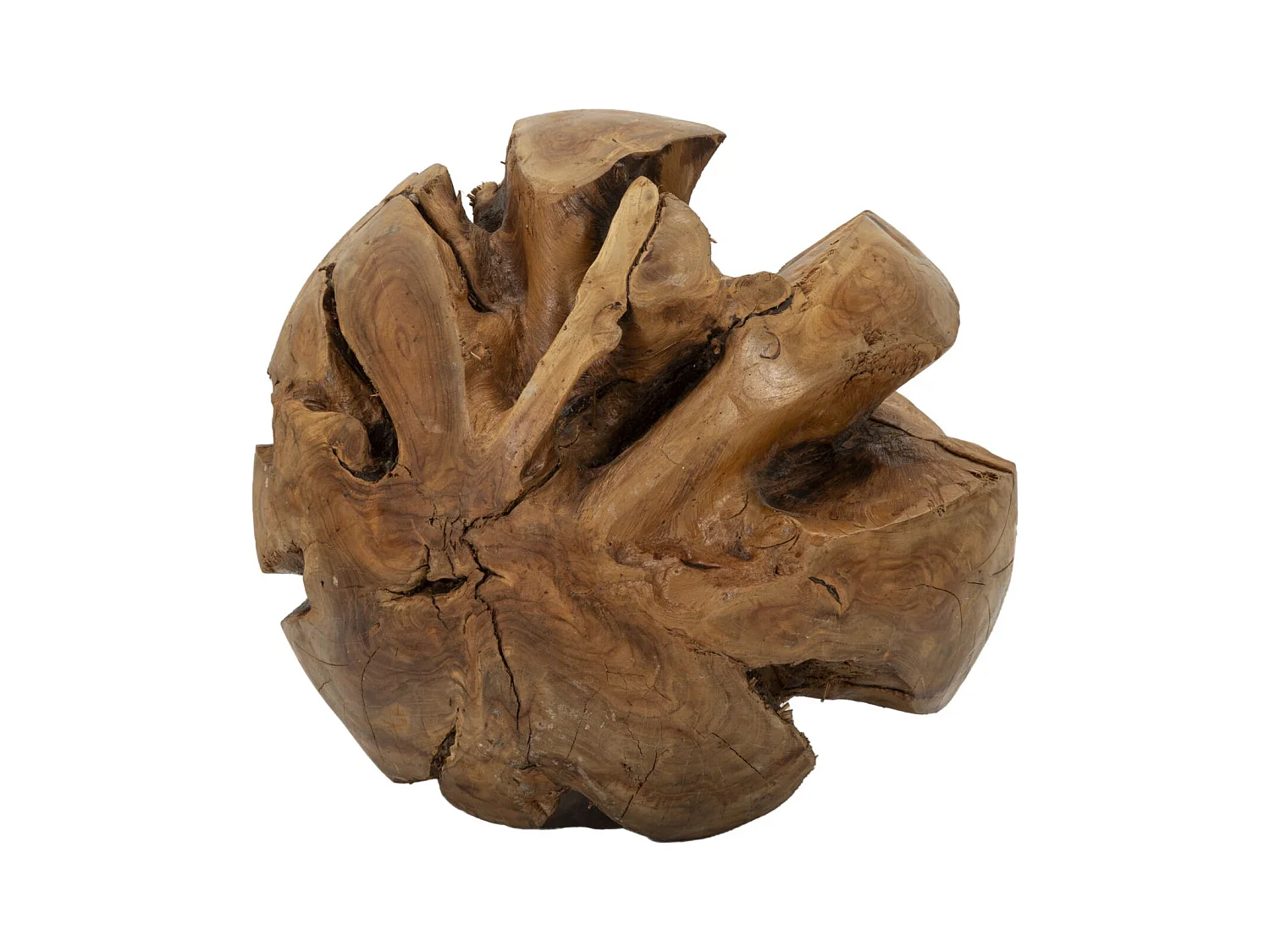 Sculpture Racine, Marron, 50x50x50 cm, Epikasa