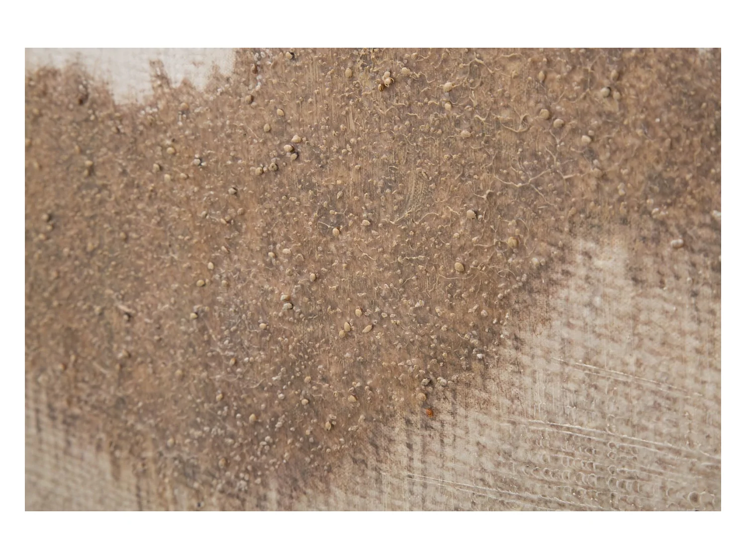 Afdrukken op Canvas Berg 1, Veelkleurig, 80x3,7x100 cm, Epikasa