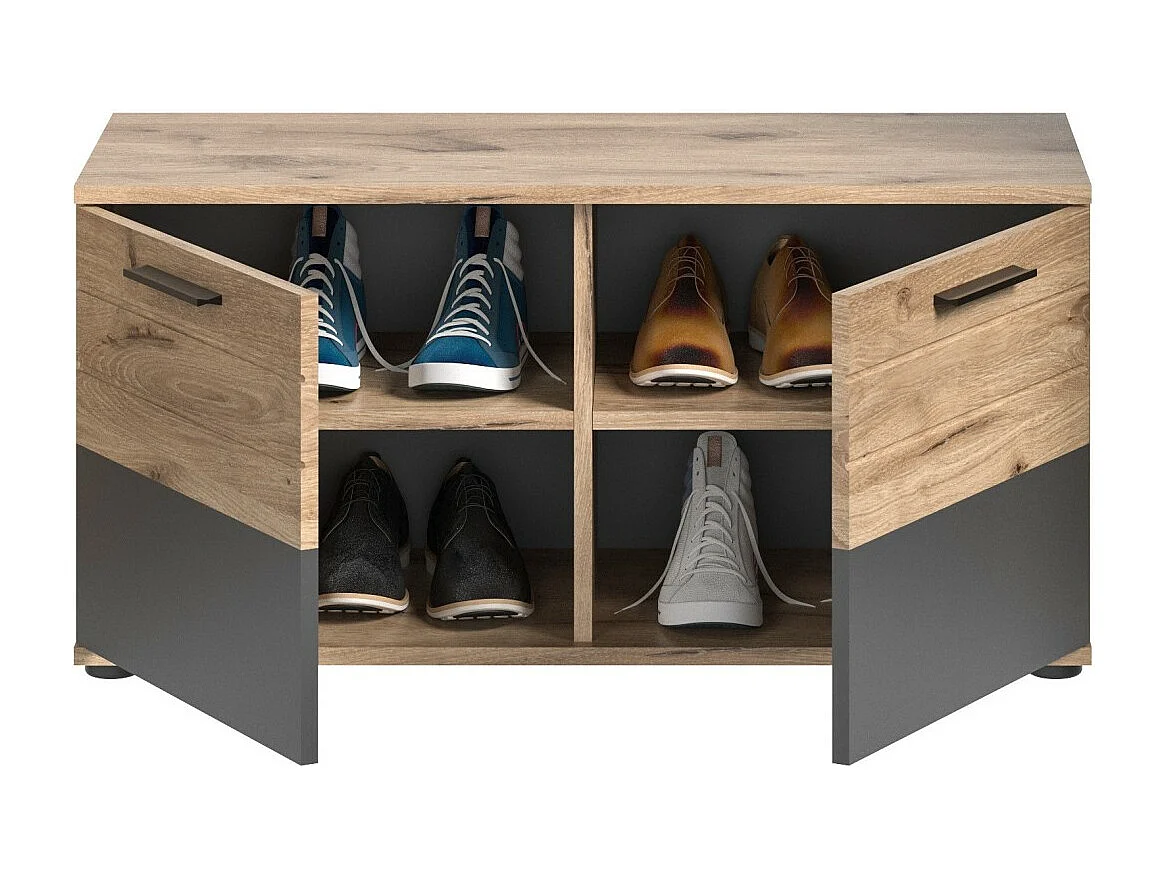 Meuble à chaussures 2 portes – Gris anthracite et chêne clair – SELMA
