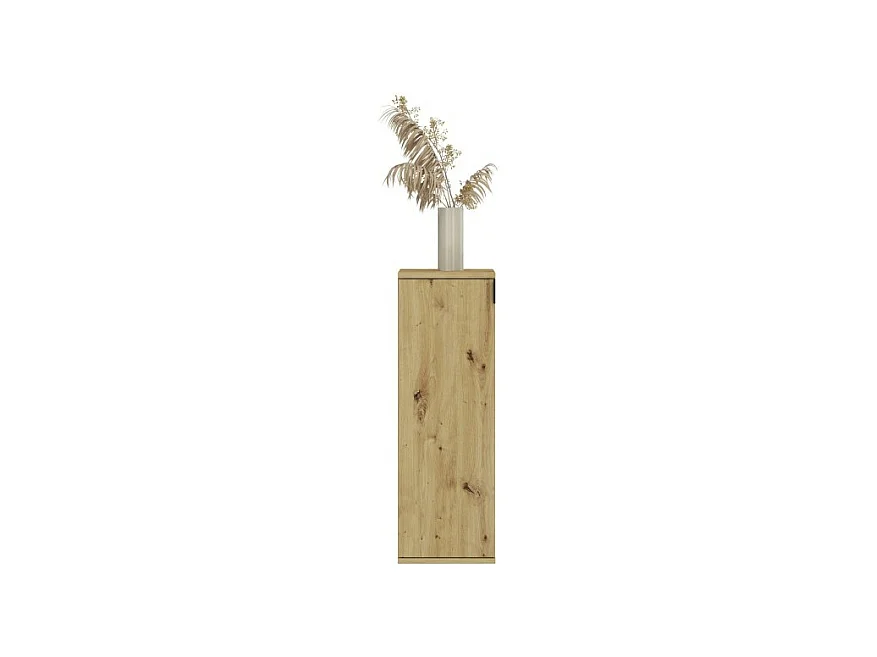 Meuble de rangement 1 porte – Chêne clair – BODITE