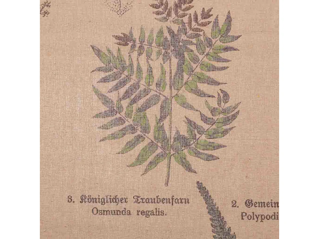 Toile parchemin multicolore 55x75x2,5 cm