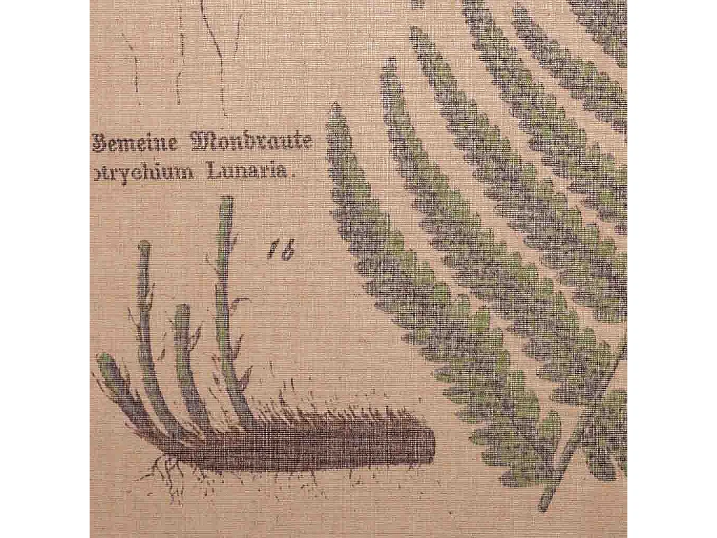 Mehrfarbige Pergamentleinwand 55x75x2,5 cm