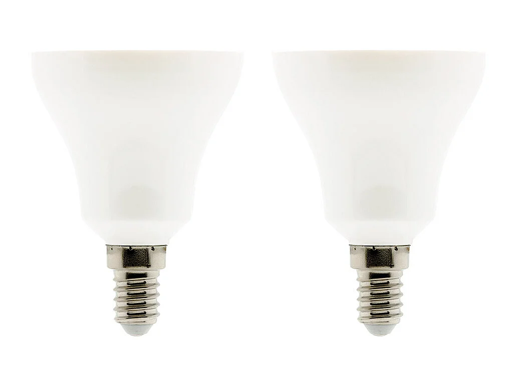 Lot de 2 ampoules LED Standard 10W E14 2700K - Zenitech