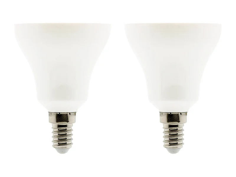 Lot de 2 ampoules LED Standard 10W E14 2700K - Zenitech