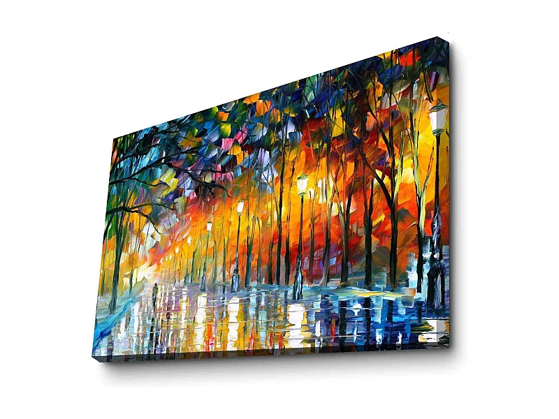 Toile décorative Misty mood 100 x 70 cm