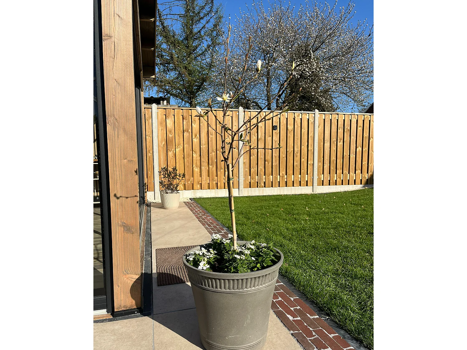 Blumenkübel CISTUS Kunststoff 44 cm Grau
