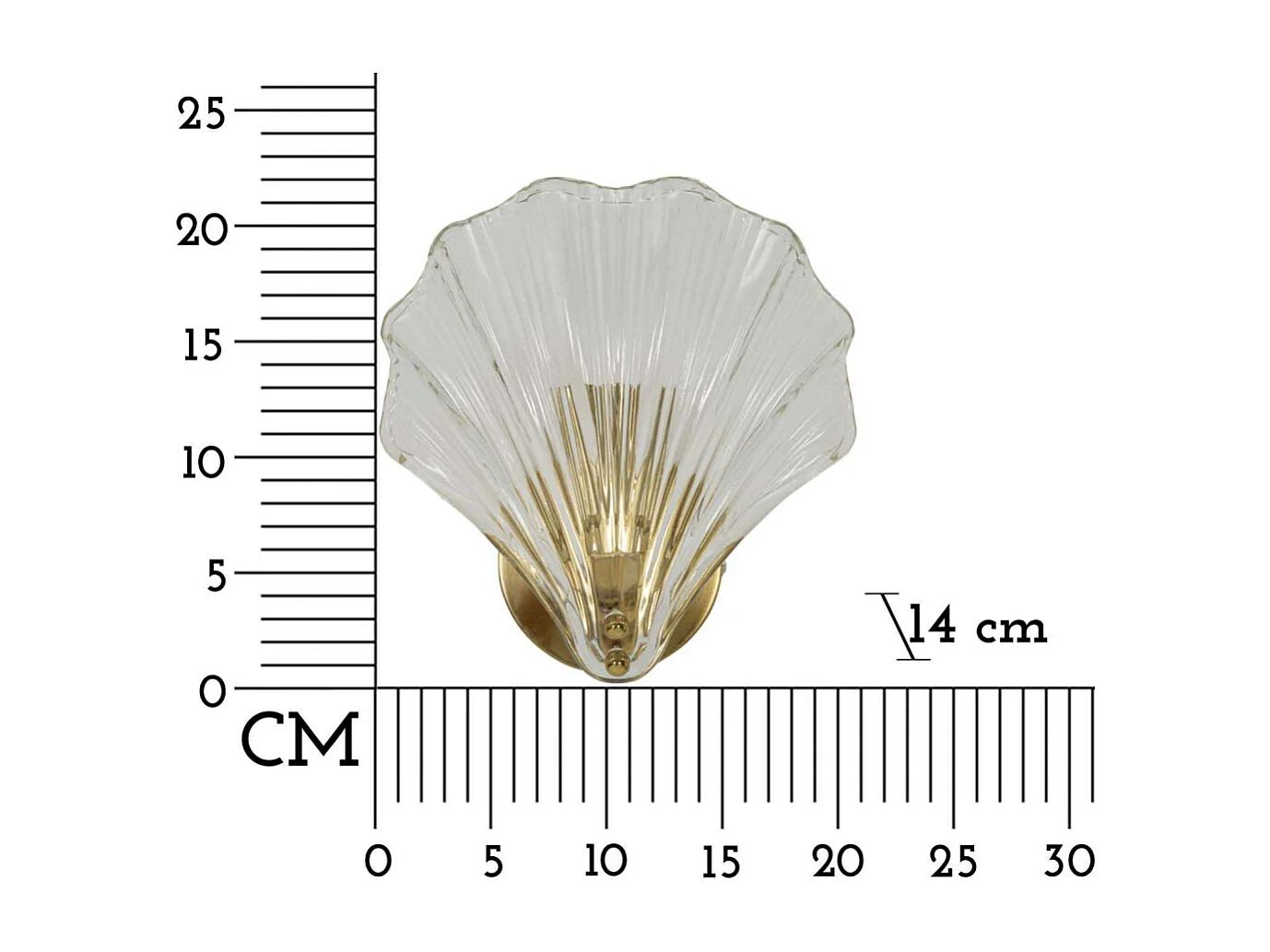 Applique Murale en Verre "Coquillage" 22cm Transparent