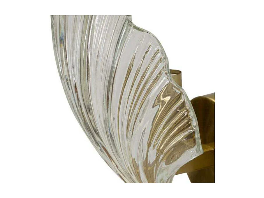 Applique Murale en Verre "Coquillage" 22cm Transparent