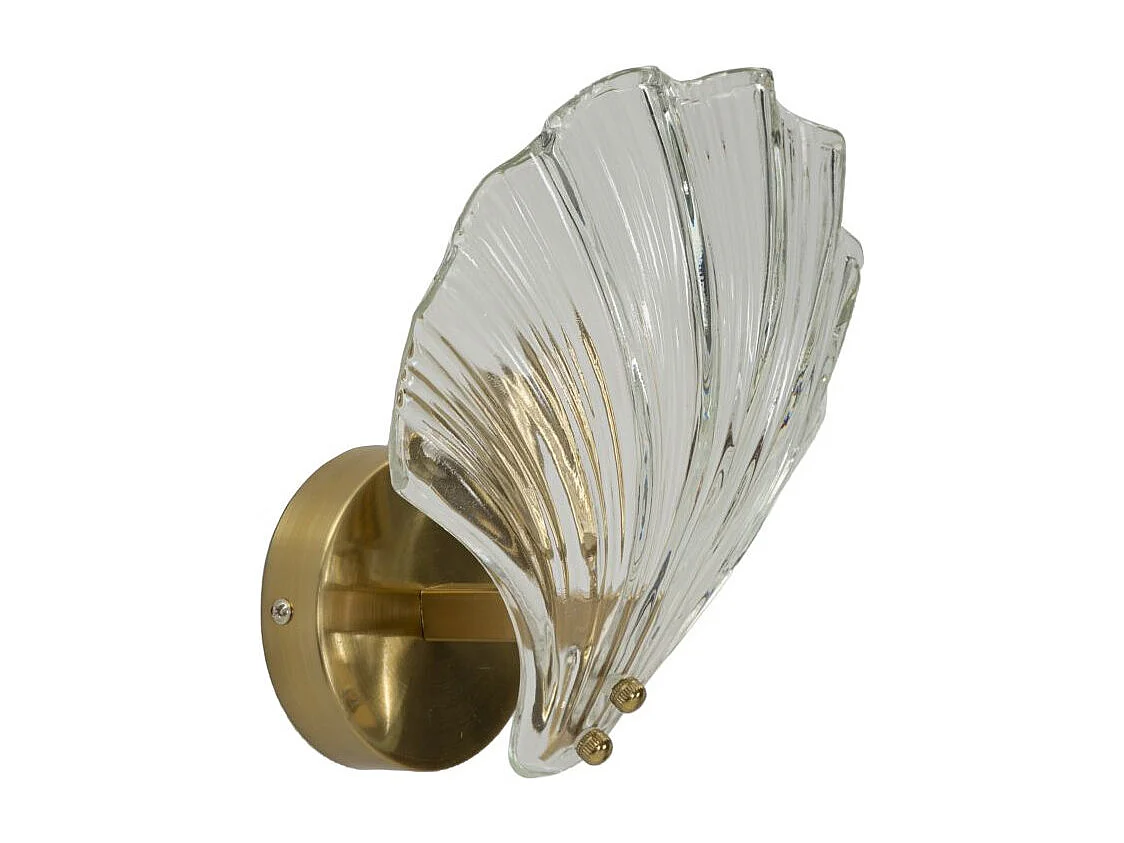 Applique Murale en Verre "Coquillage" 22cm Transparent