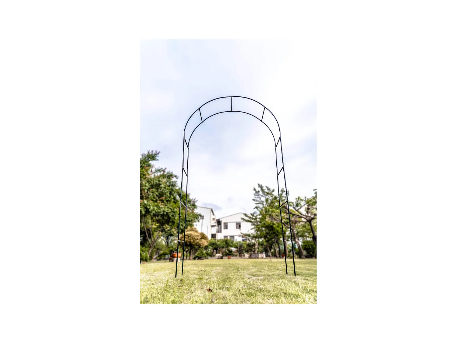 Boogsteun voor plant - Suan - Ondersteuning voor groei - Afmetingen : 137 x 38 x 243 cm