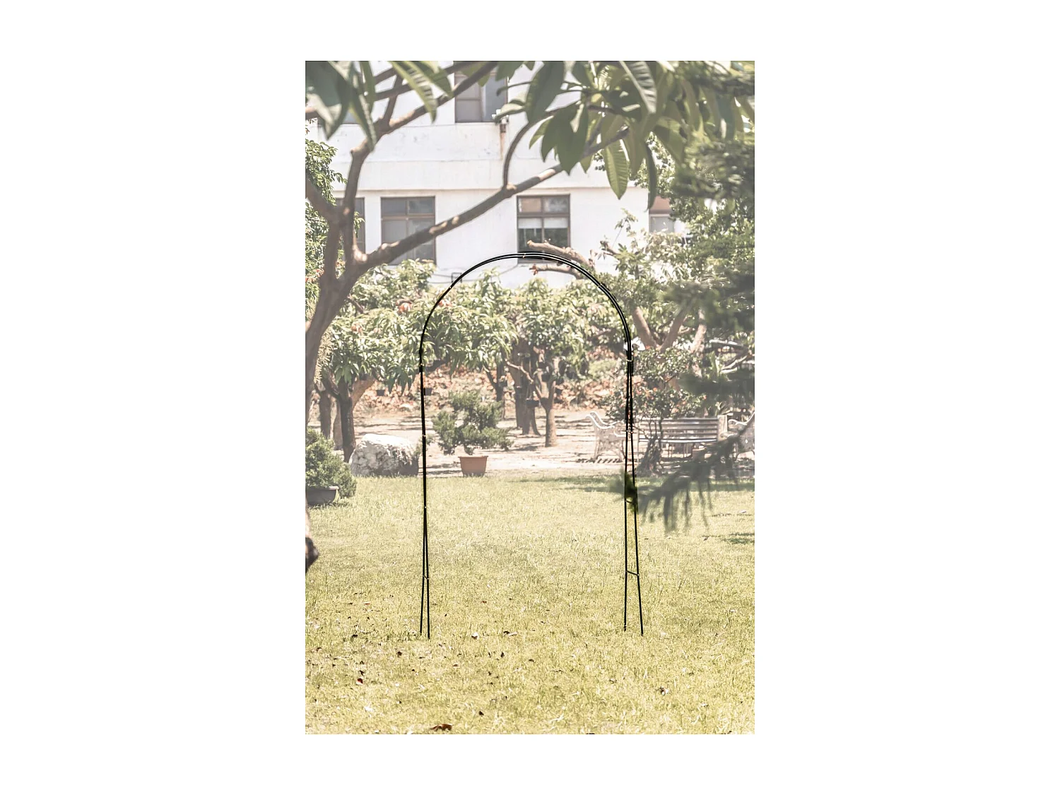 Support arceau pour plante - Suan - Accompagnement à la pousse - Dimensions : 137 x 243 x 38 cm