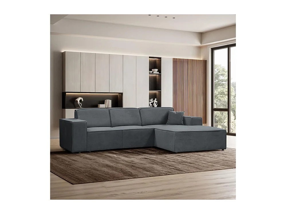 CANAPE sans fonction sommeil Pedro L gris droite