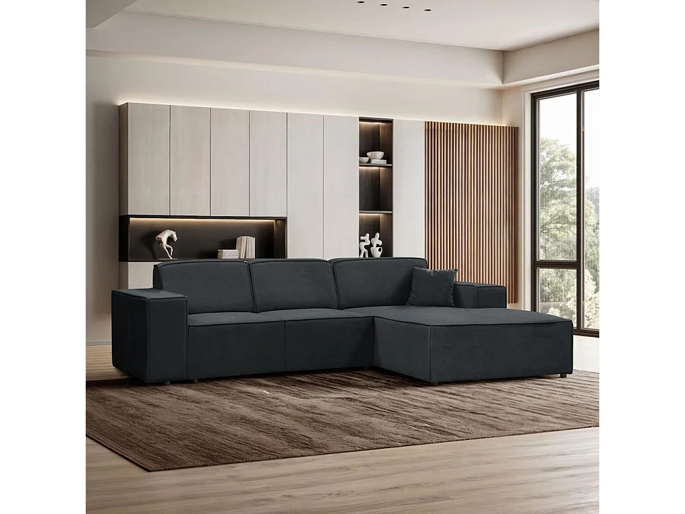 CANAPE sans fonction sommeil Pedro L gris foncé à droite