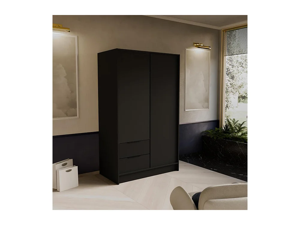 DREHTÜRENSCHRANK Niko 100/51/200 cm schwarz