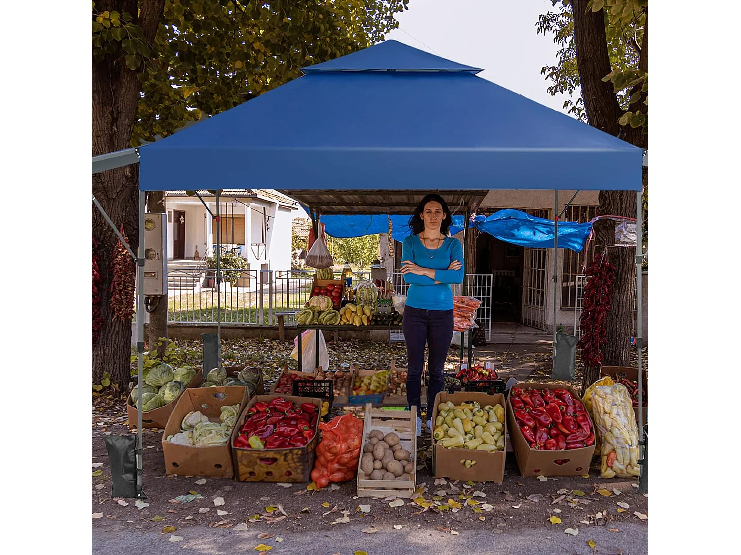 3 x 3 m pop-up paviljoen met twee luifels, vouwpaviljoen met roltas, 4 zandzakken, uv-bescherming 50+, opvouwbare tuintent, stabiel, winterbestendig (blauw) ZB32066