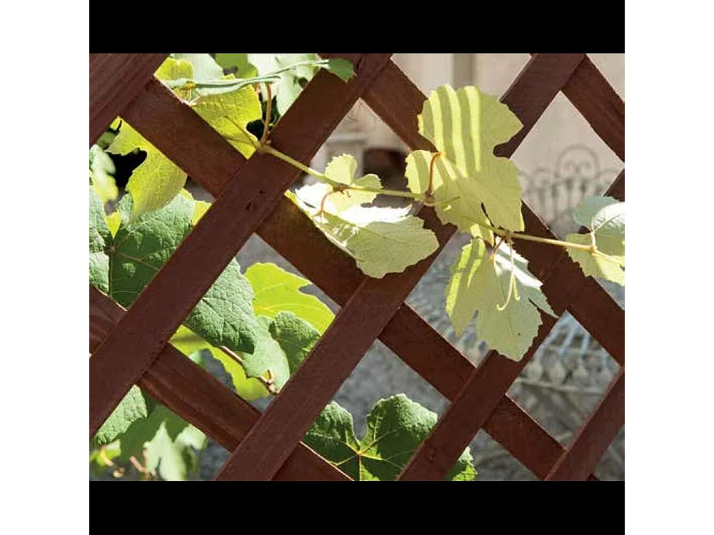 Griglia In Legno Pannello Estensibile Fino a 120 Cm Grigliato Divisorio Separè Alto 150 Cm Autoportante Per Balcone Giardino Terrazzo Piscina Privacy Traliccio