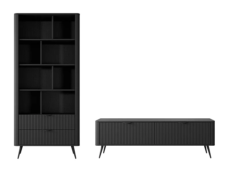 WOHNWAND Lante schwarz 2-teilig