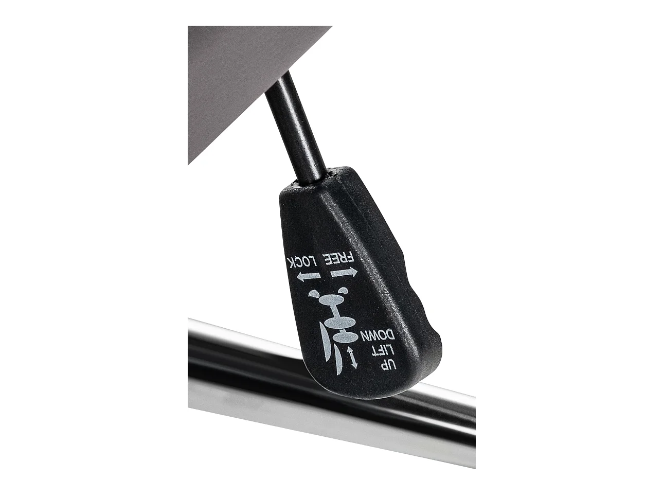 Chaise de bureau - Véritable cuir & Noir - Gris - Mollis