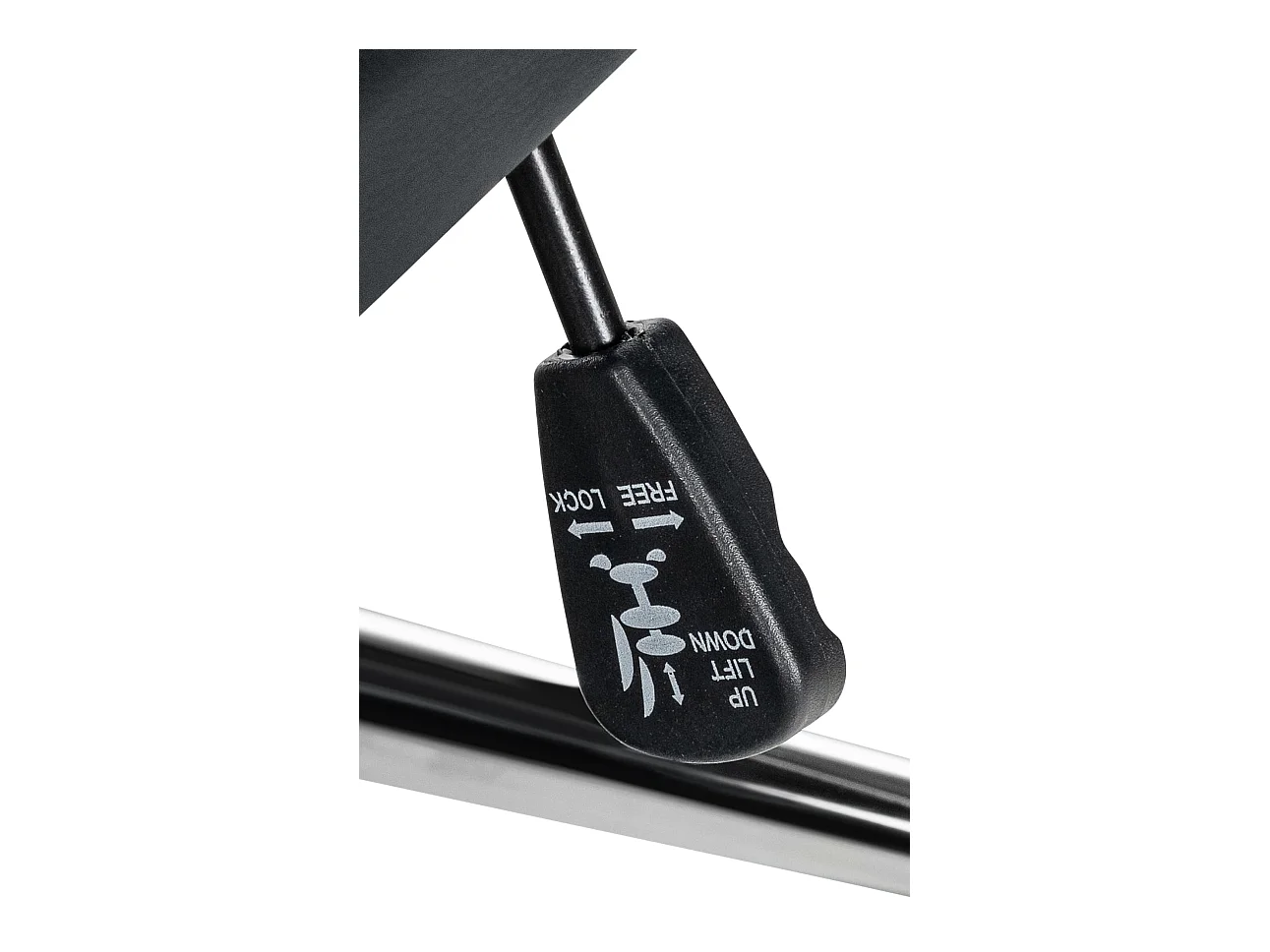 Chaise de bureau - Véritable cuir & Noir - Noir - Mollis