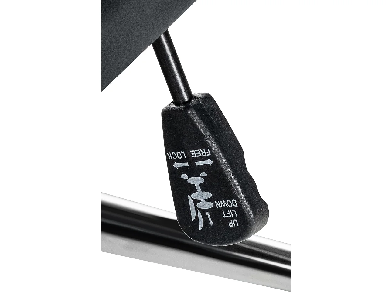 Chaise de bureau - Véritable cuir & Noir - Noir - Mollis