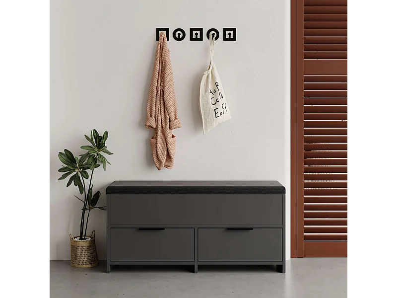 Schoenenkast Antraciet Zwart 4 Opbergvakken