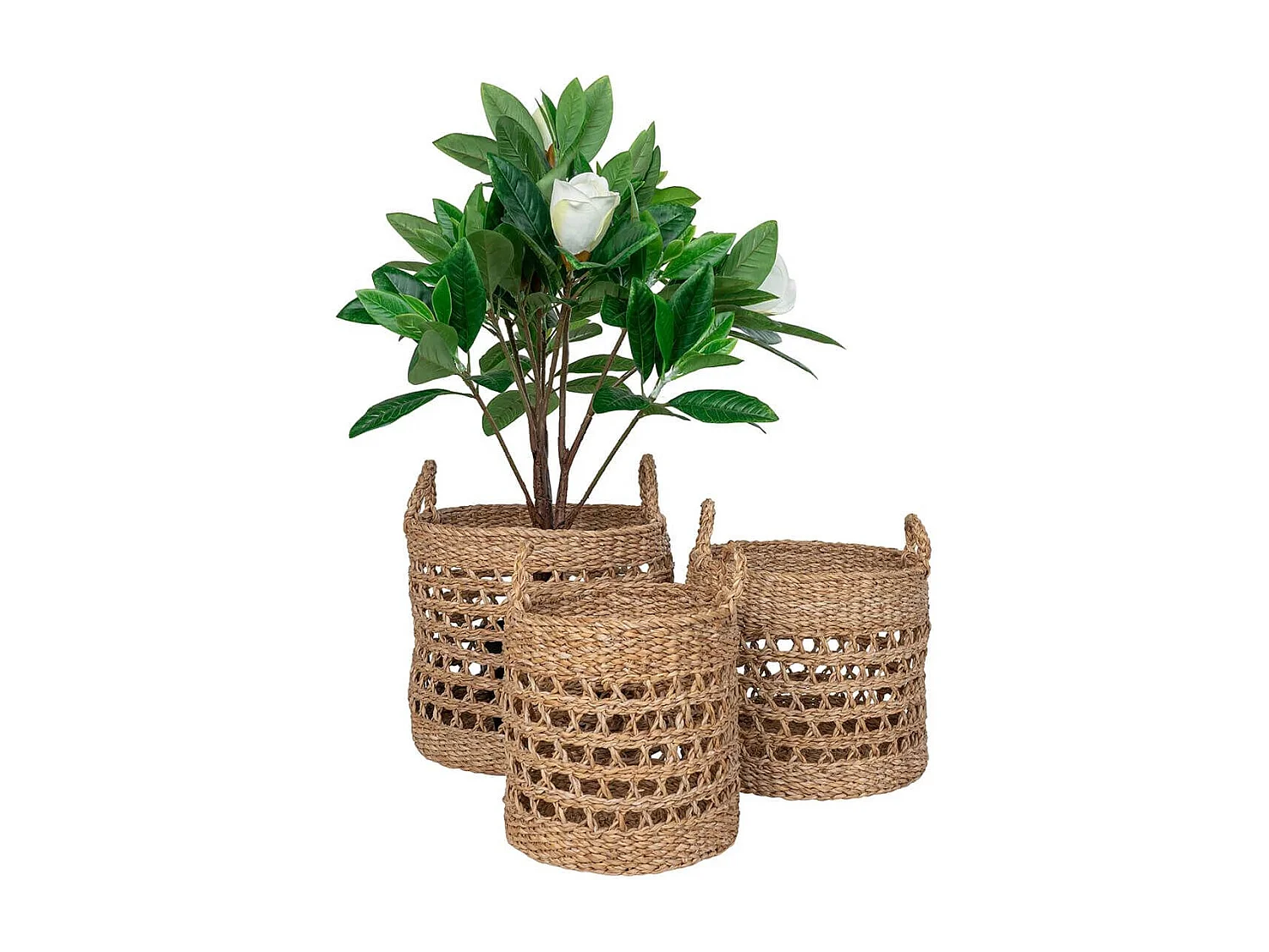 LOBAK - Lot de 3 paniers ronds en jonc de mer naturel