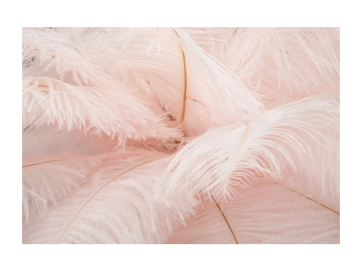 Candeeiro de Mesa Penas 2, Cor-de-rosa, 40x40x55 cm, Seven Design