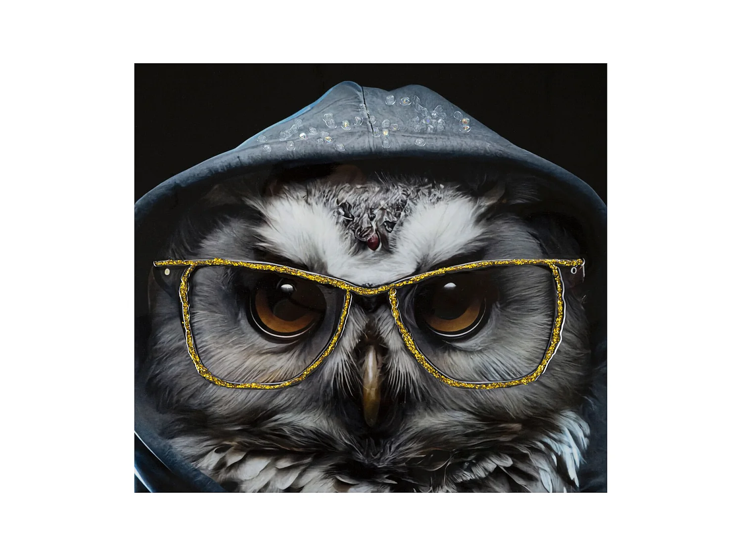 Afdrukken op Canvas Uil, Veelkleurig, 53x3x73 cm, Epikasa