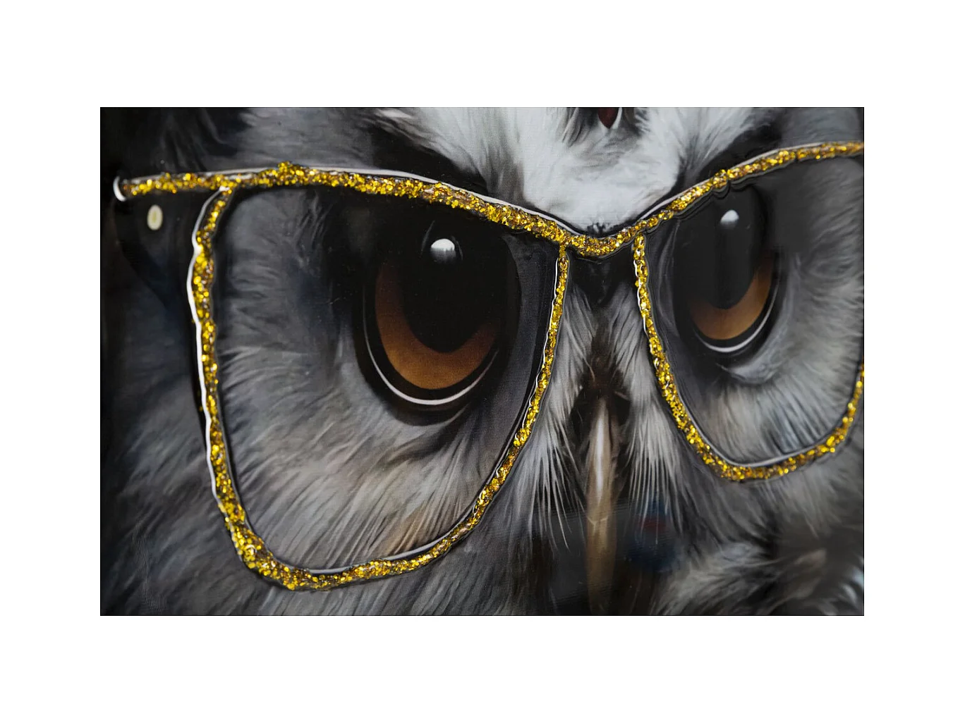 Afdrukken op Canvas Uil, Veelkleurig, 53x3x73 cm, Epikasa