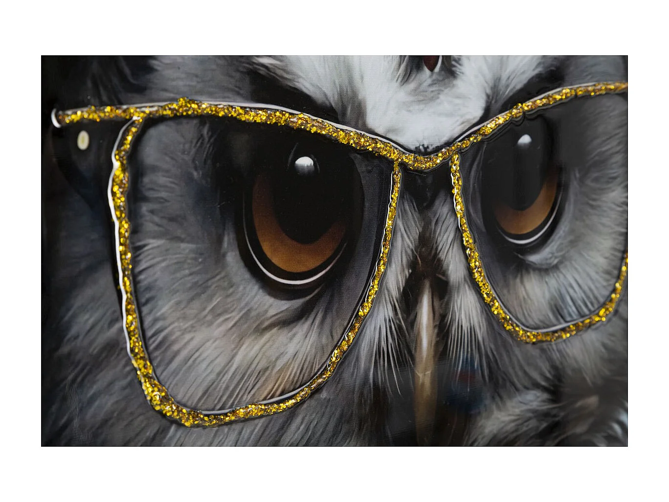 Afdrukken op Canvas Uil, Veelkleurig, 53x3x73 cm, Epikasa