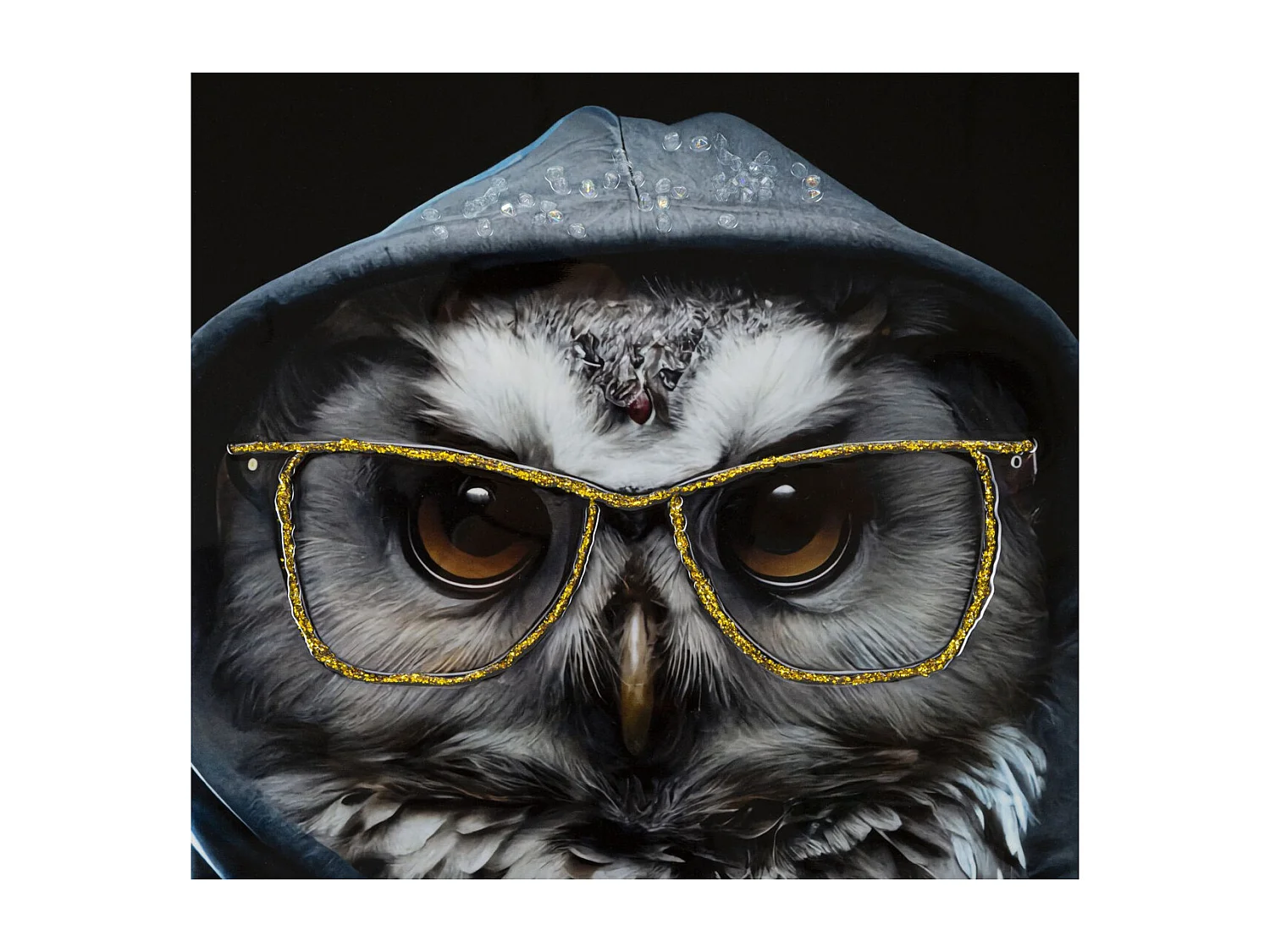 Impression sur Toile Hibou, Multicouleur, 53x3x73 cm, Seven Design