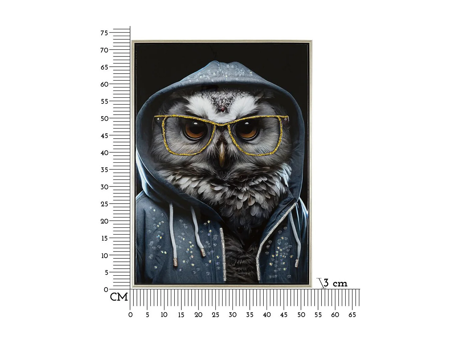 Impression sur Toile Hibou, Multicouleur, 53x3x73 cm, Seven Design