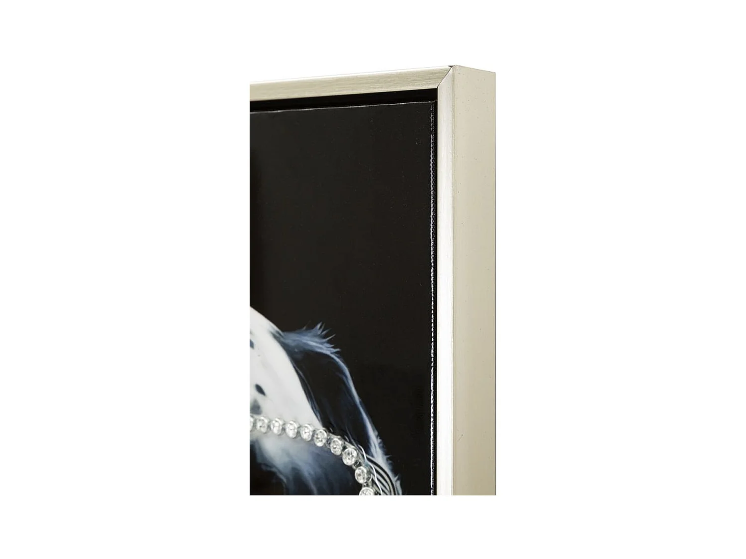 Afdrukken op Canvas Dalmatiër, Veelkleurig, 53x3x73 cm, Epikasa