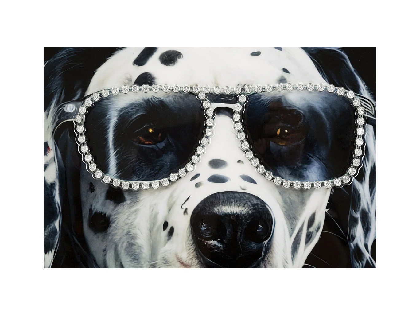 Afdrukken op Canvas Dalmatiër, Veelkleurig, 53x3x73 cm, Epikasa