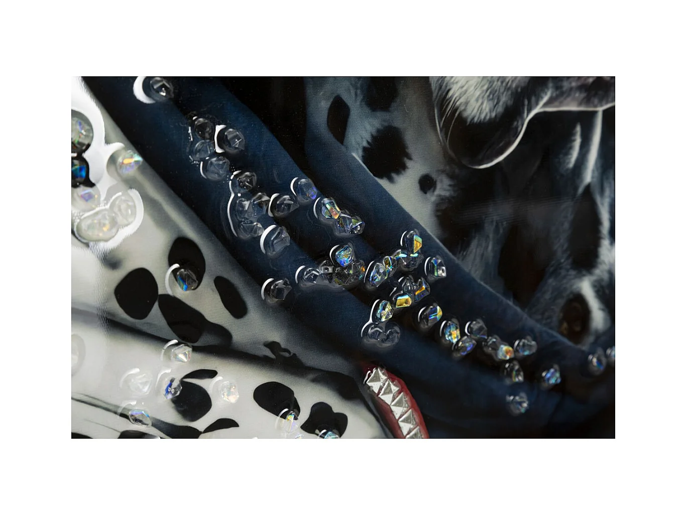 Afdrukken op Canvas Dalmatiër, Veelkleurig, 53x3x73 cm, Epikasa