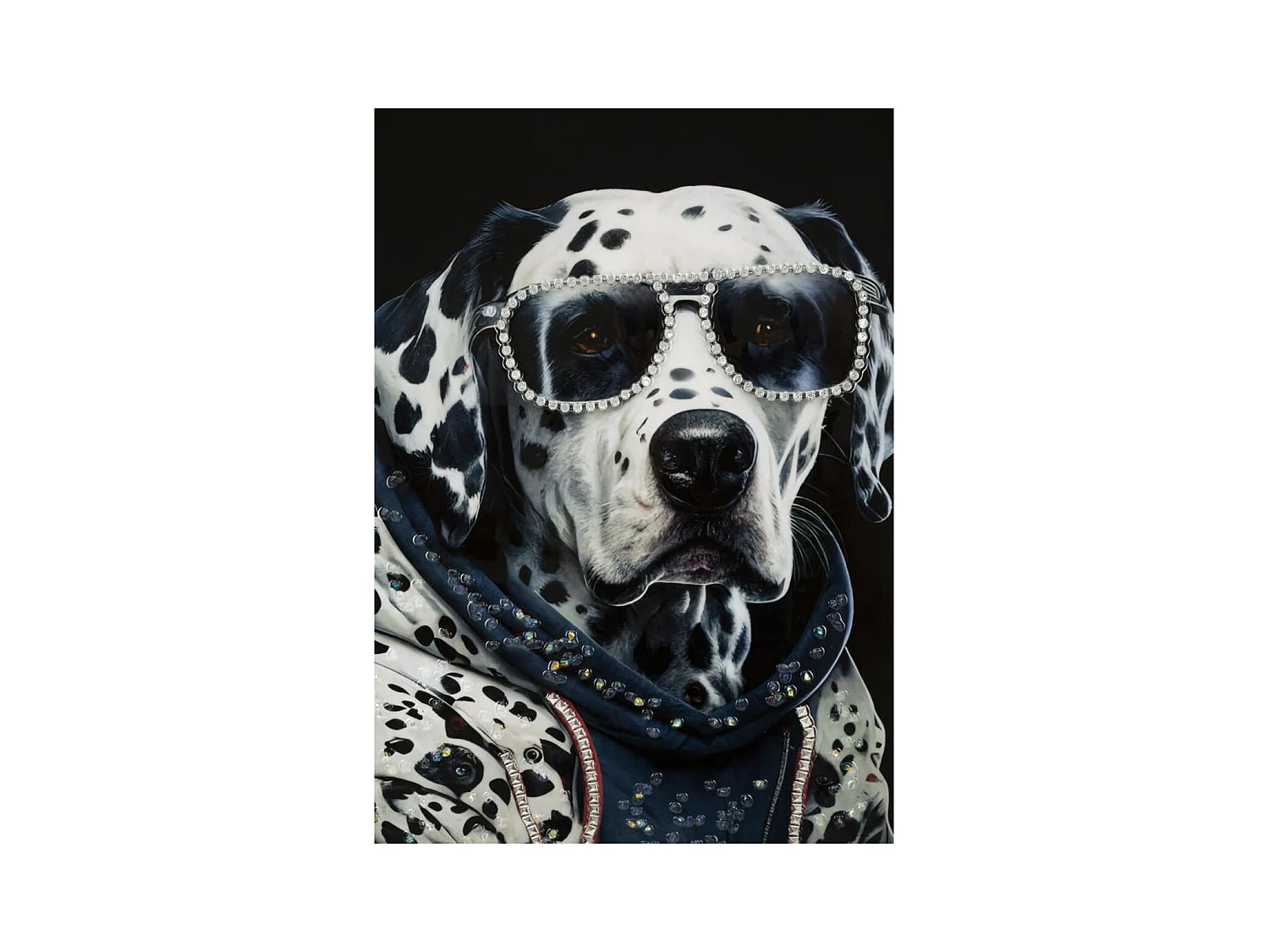 Afdrukken op Canvas Dalmatiër, Veelkleurig, 53x3x73 cm, Epikasa