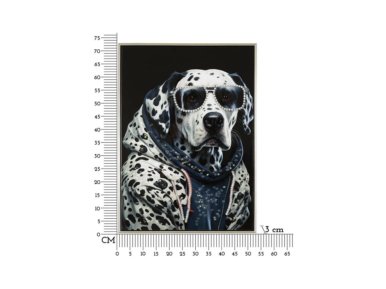 Afdrukken op Canvas Dalmatiër, Veelkleurig, 53x3x73 cm, Epikasa