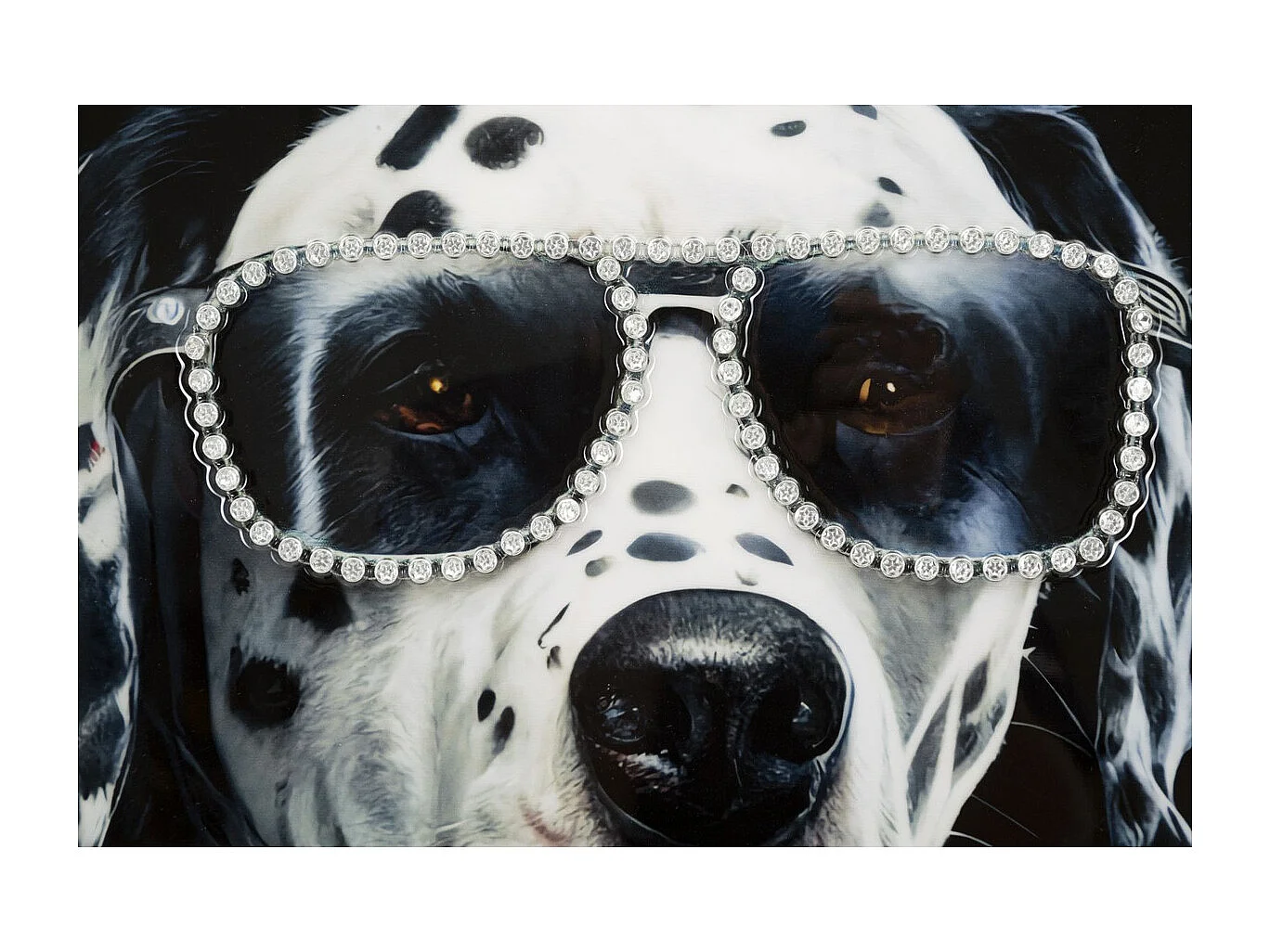 Wydruk na Płótnie Dalmatyńczyk, Wielokolorowy, 53x3x73 cm, Seven Design