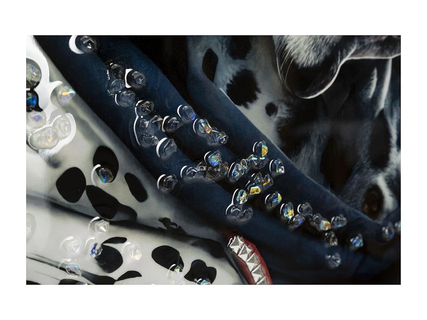 Wydruk na Płótnie Dalmatyńczyk, Wielokolorowy, 53x3x73 cm, Seven Design