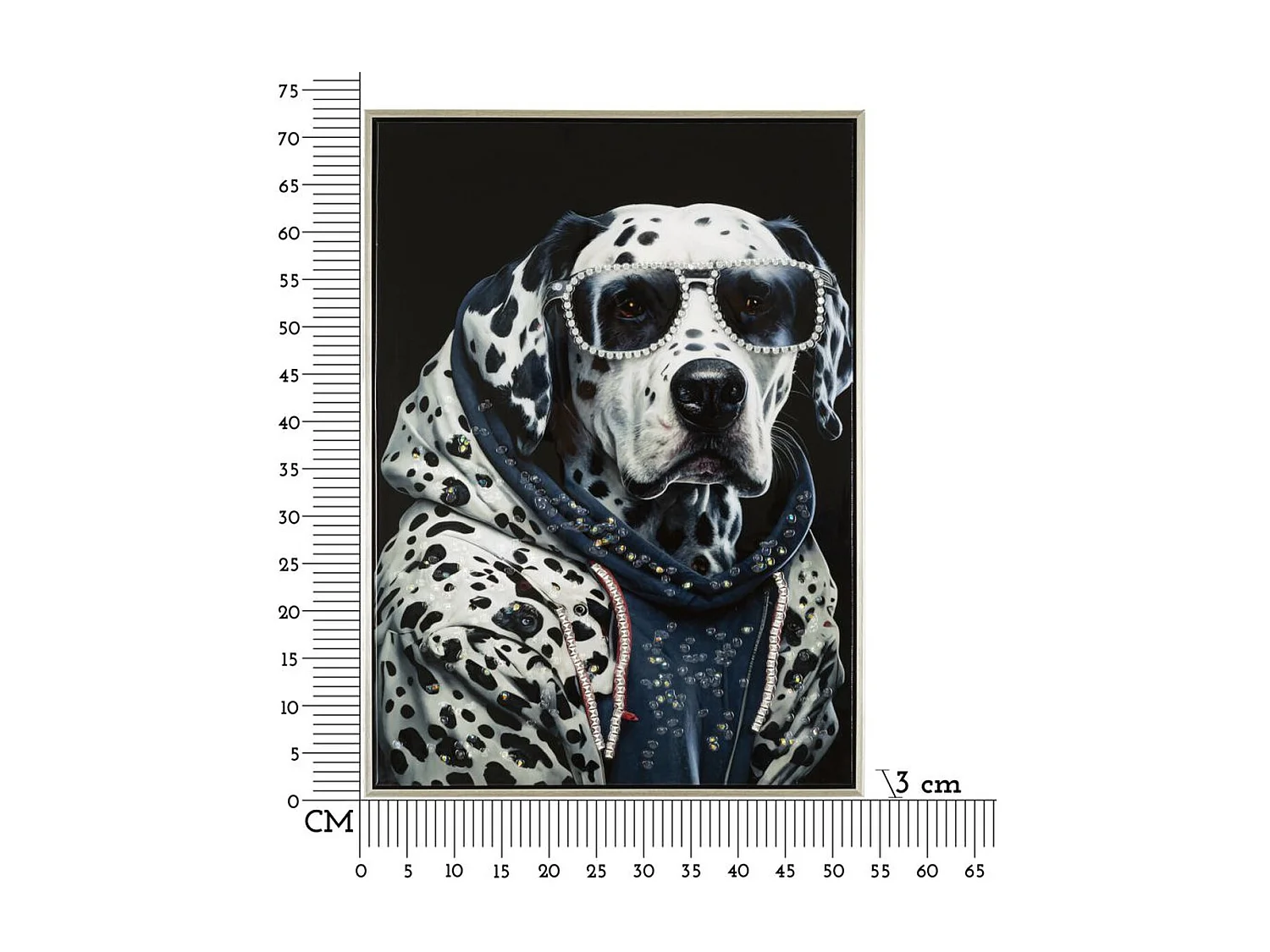 Wydruk na Płótnie Dalmatyńczyk, Wielokolorowy, 53x3x73 cm, Seven Design